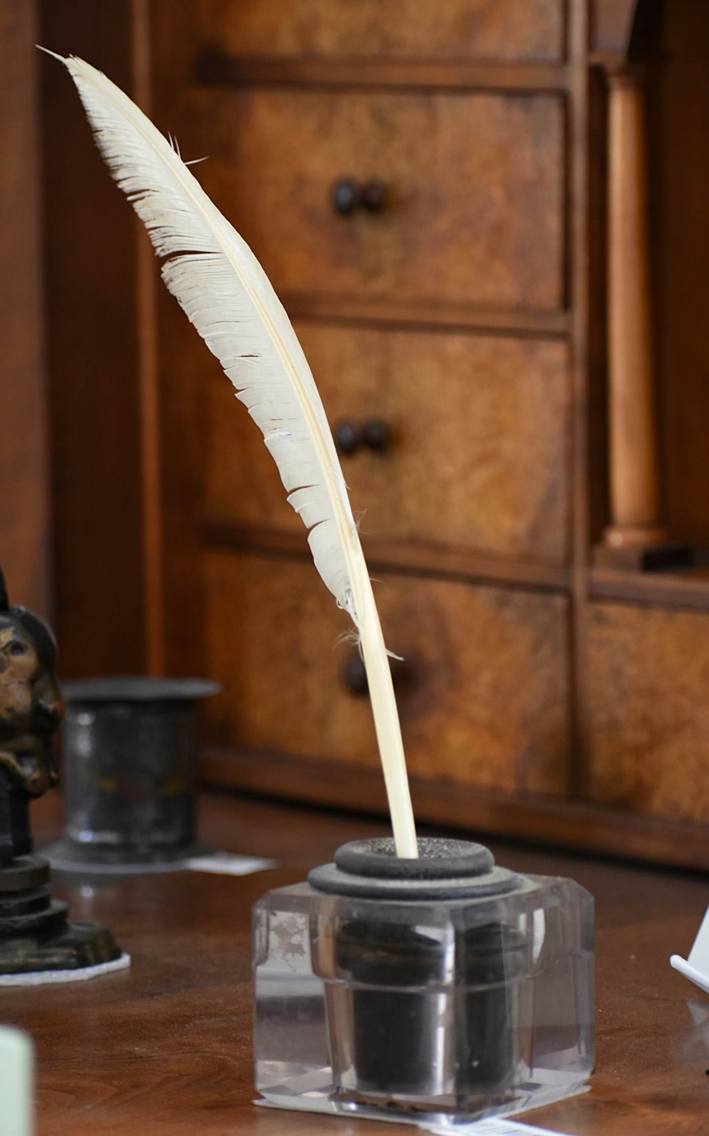A white quill feather standing in an inkwell